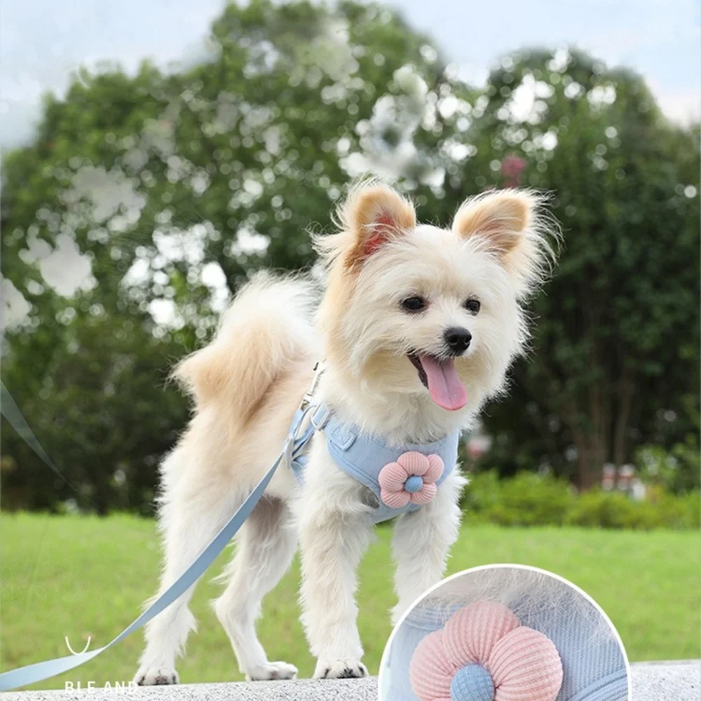 Versace Blue and Pink Dog Travel Carrier